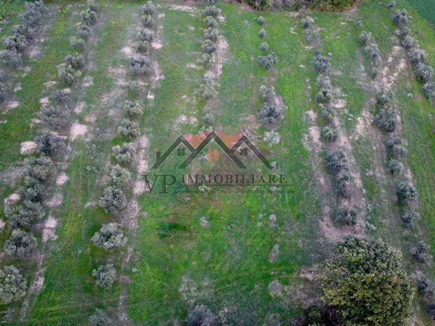 Immagine 12 di Casa colonica in vendita  a Pomarance