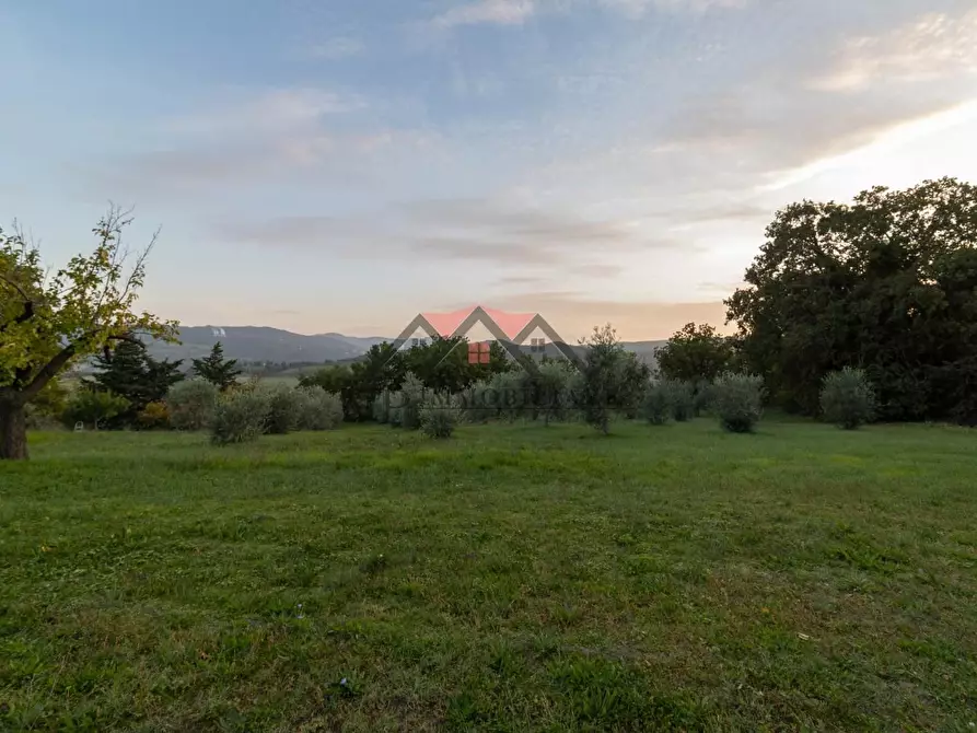 Immagine 16 di Casa colonica in vendita  a Pomarance