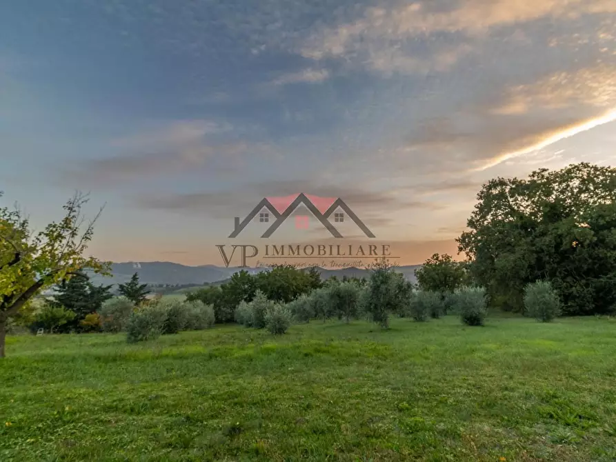 Immagine 17 di Casa colonica in vendita  a Pomarance