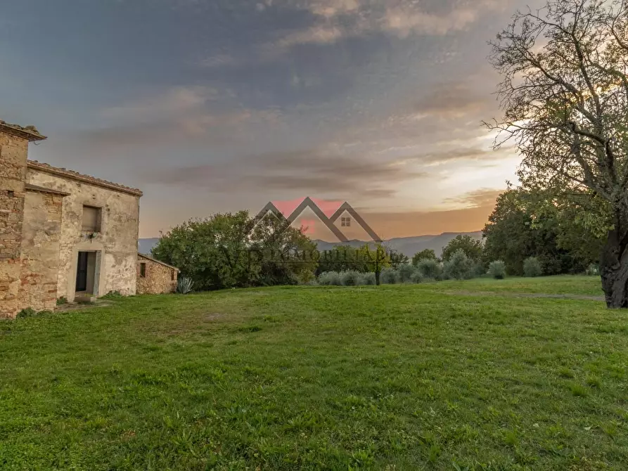 Immagine 4 di Casa colonica in vendita  a Pomarance