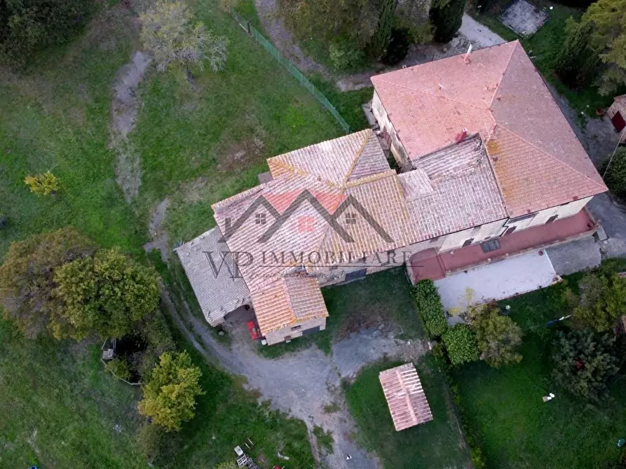 Immagine 11 di Casa colonica in vendita  a Pomarance