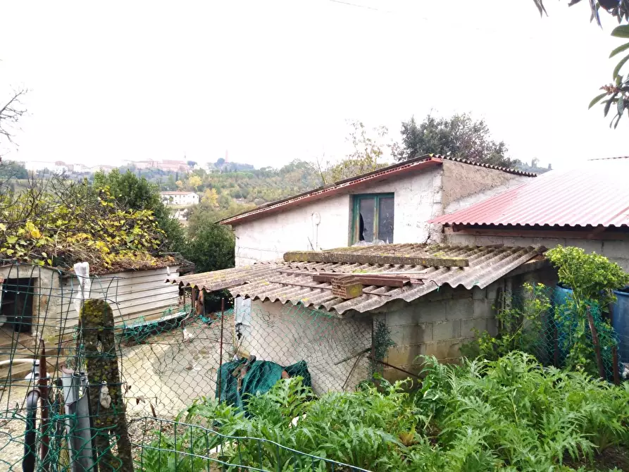 Immagine 18 di Porzione di casa in vendita  a San Miniato