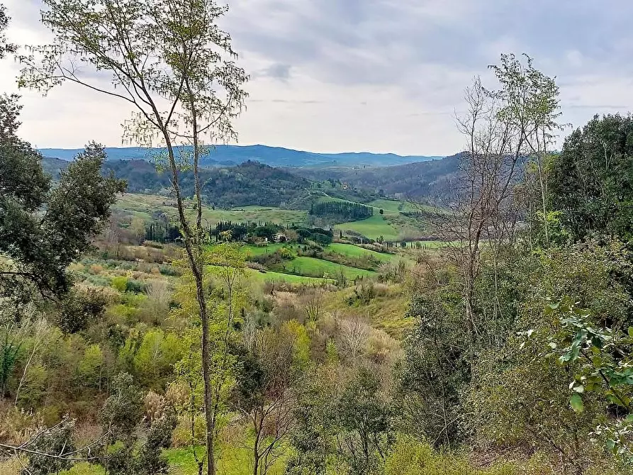 Immagine 19 di Casa colonica in vendita  a Palaia