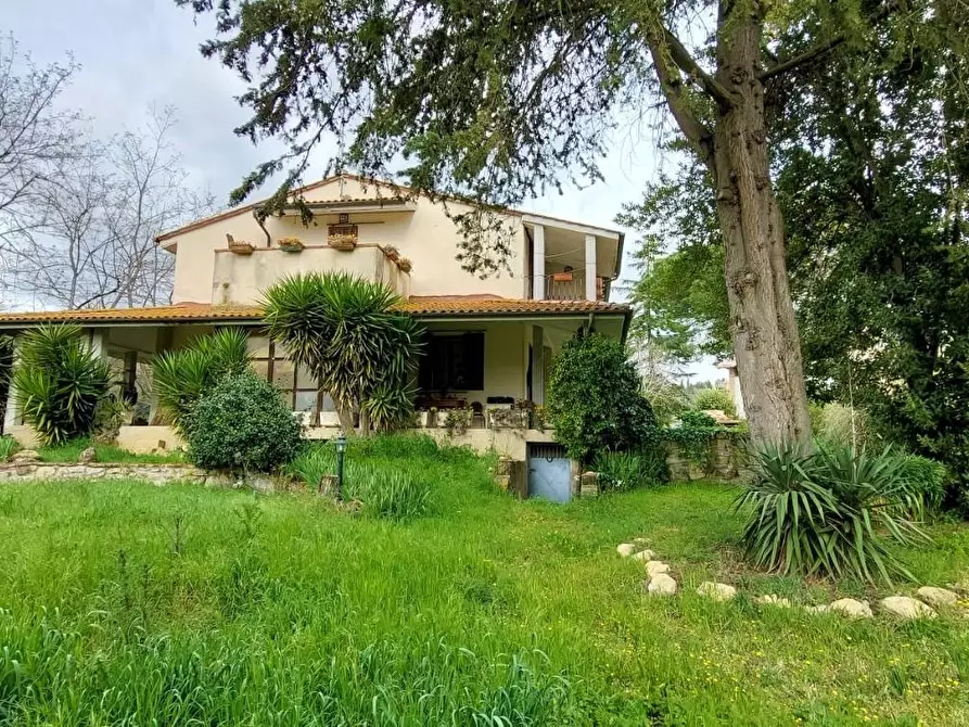 Immagine 16 di Casa colonica in vendita  a Palaia