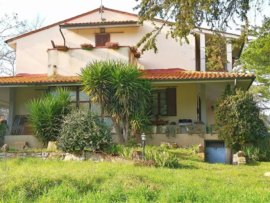 Immagine 3 di Casa colonica in vendita  a Palaia