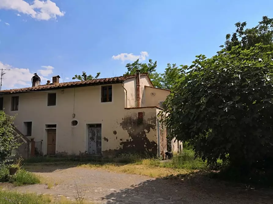 Immagine 4 di Casa colonica in vendita  a Palaia