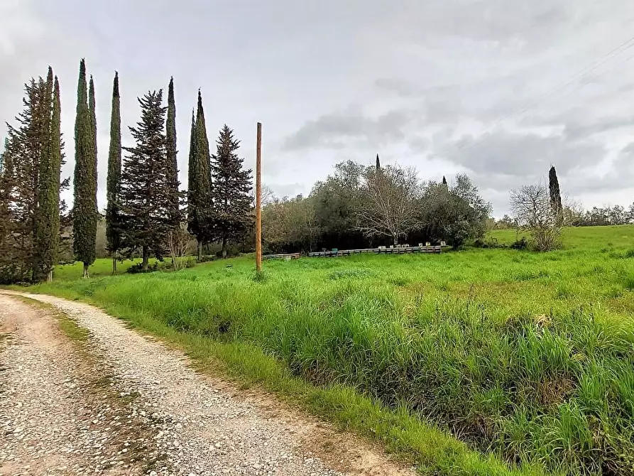 Immagine 18 di Casa colonica in vendita  a Palaia