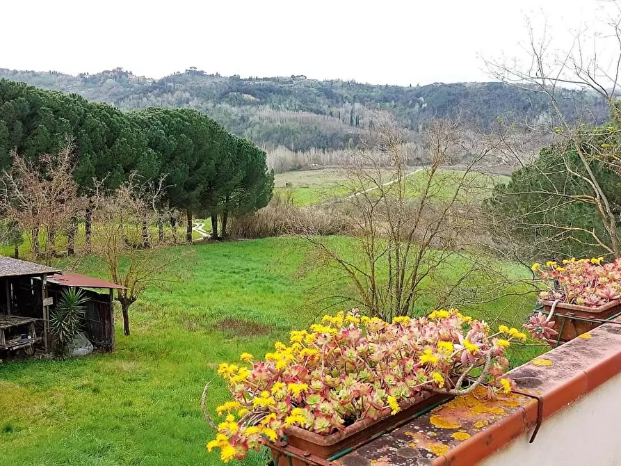Immagine 11 di Casa colonica in vendita  a Palaia