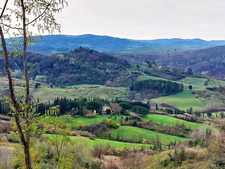 Immagine 1 di Casa colonica in vendita  a Palaia