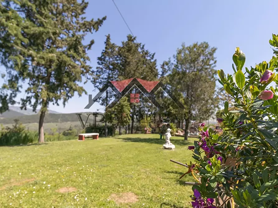 Immagine 21 di Casa colonica in vendita  a Pomarance