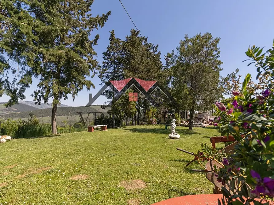 Immagine 22 di Casa colonica in vendita  a Pomarance