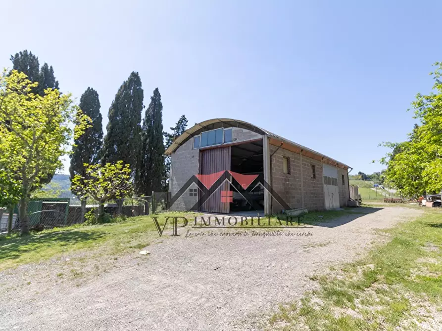 Immagine 24 di Casa colonica in vendita  a Pomarance