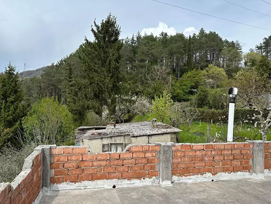 Immagine 31 di Casa indipendente in vendita  a Fosdinovo