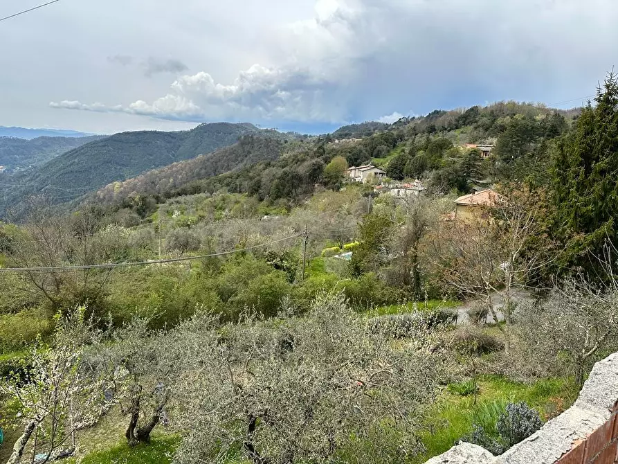 Immagine 23 di Casa indipendente in vendita  a Fosdinovo
