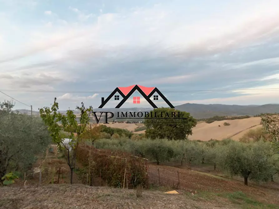 Immagine 2 di Casa colonica in vendita  a Pomarance