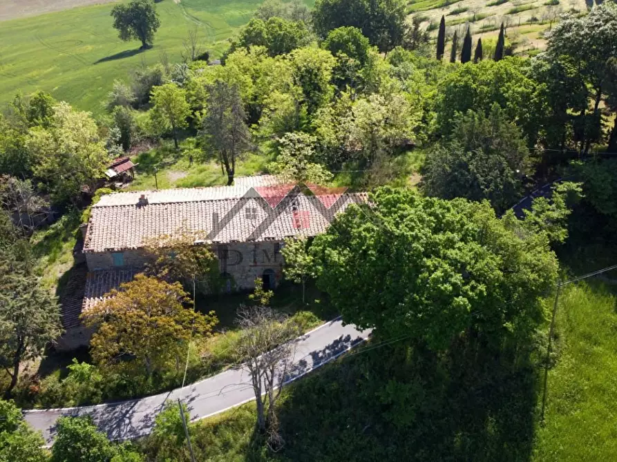 Immagine 3 di Casa colonica in vendita  a Pomarance