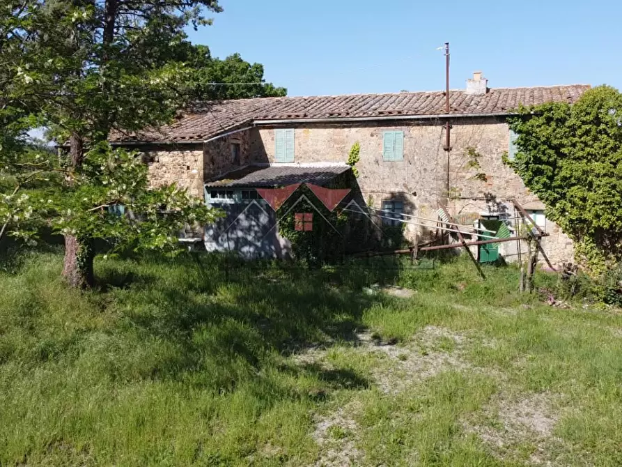 Immagine 6 di Casa colonica in vendita  a Pomarance