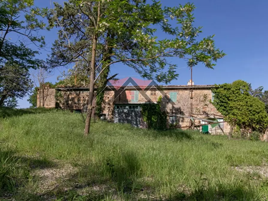 Immagine 8 di Casa colonica in vendita  a Pomarance