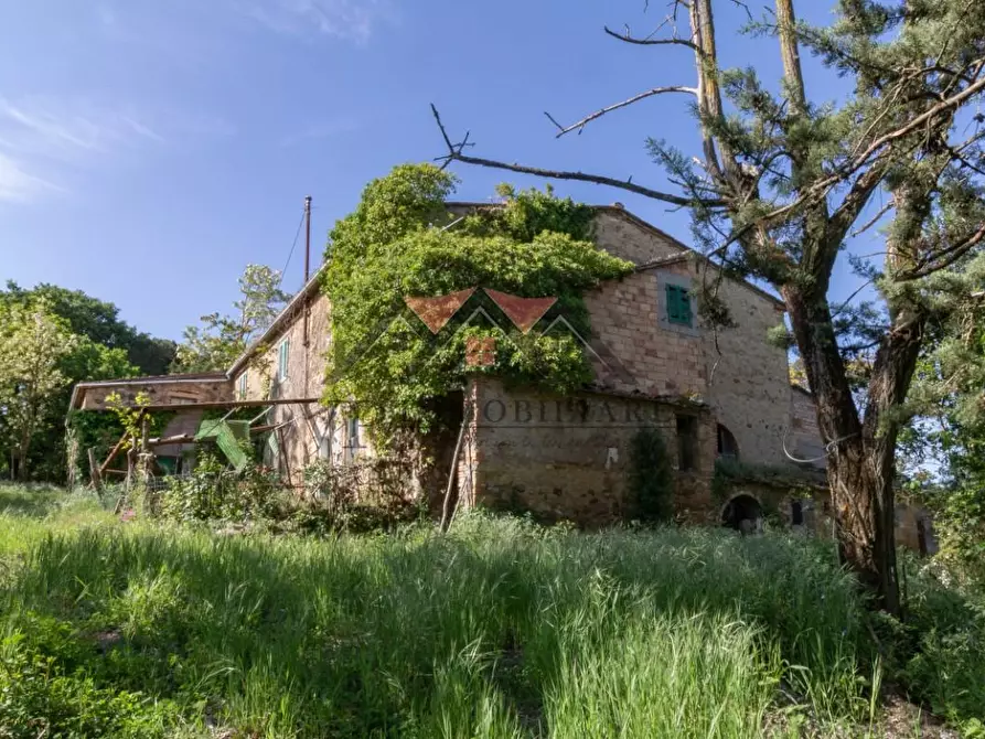 Immagine 9 di Casa colonica in vendita  a Pomarance