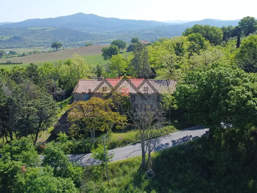 Immagine 4 di Casa colonica in vendita  a Pomarance