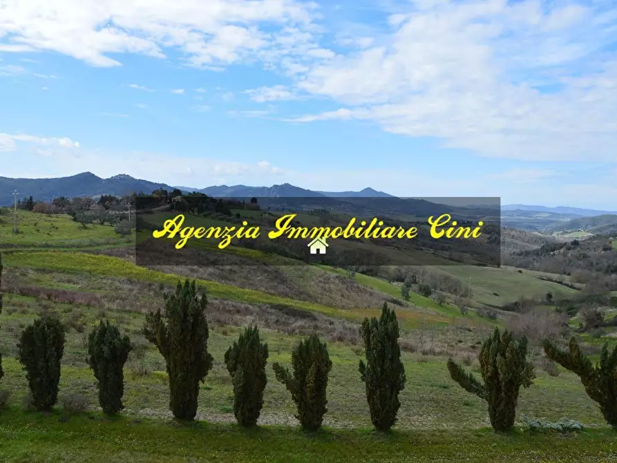 Immagine 5 di Casa bifamiliare in vendita  a Pomarance