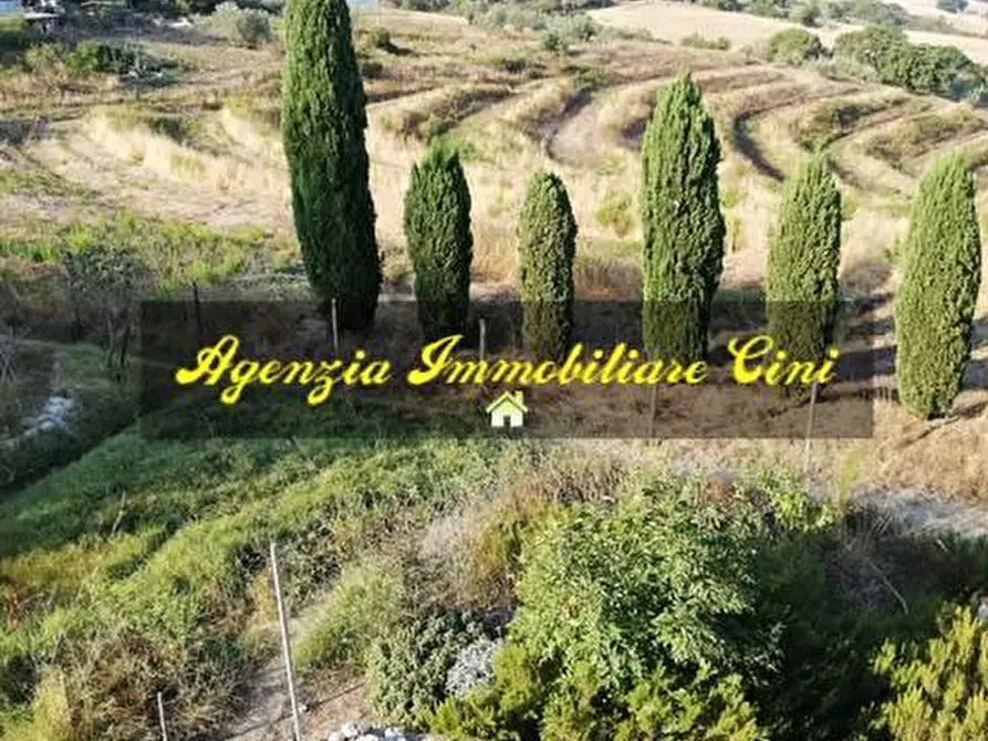 Immagine 8 di Casa bifamiliare in vendita  a Pomarance