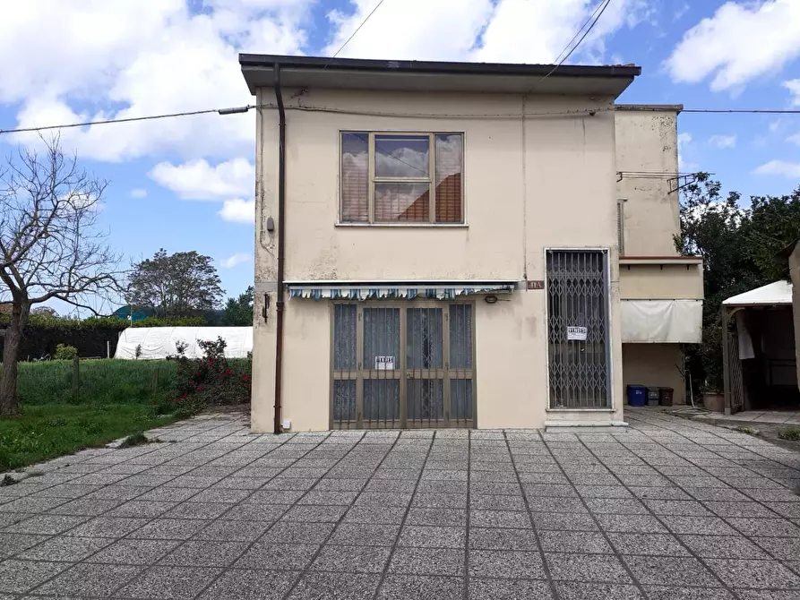 Immagine 4 di Terratetto in vendita  a Pisa