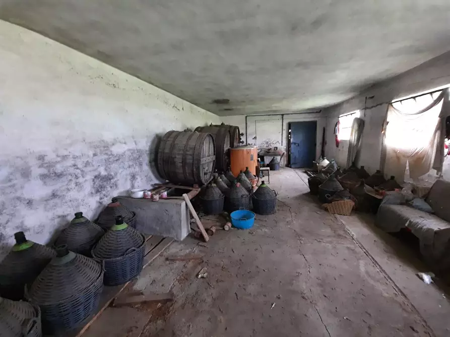 Immagine 8 di Terratetto in vendita  a Porcari