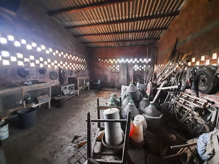 Immagine 6 di Terratetto in vendita  a Porcari