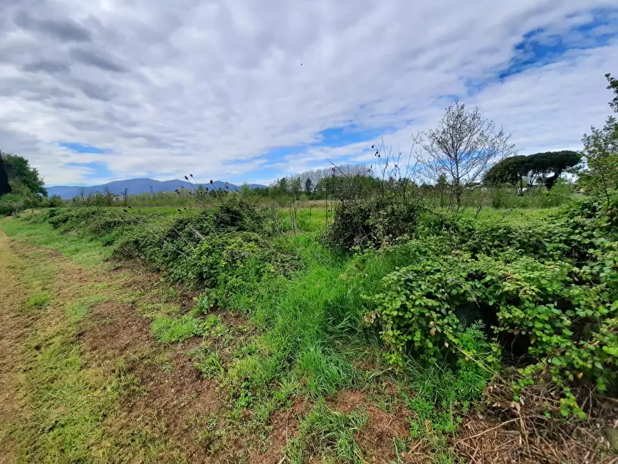 Immagine 18 di Terratetto in vendita  a Porcari