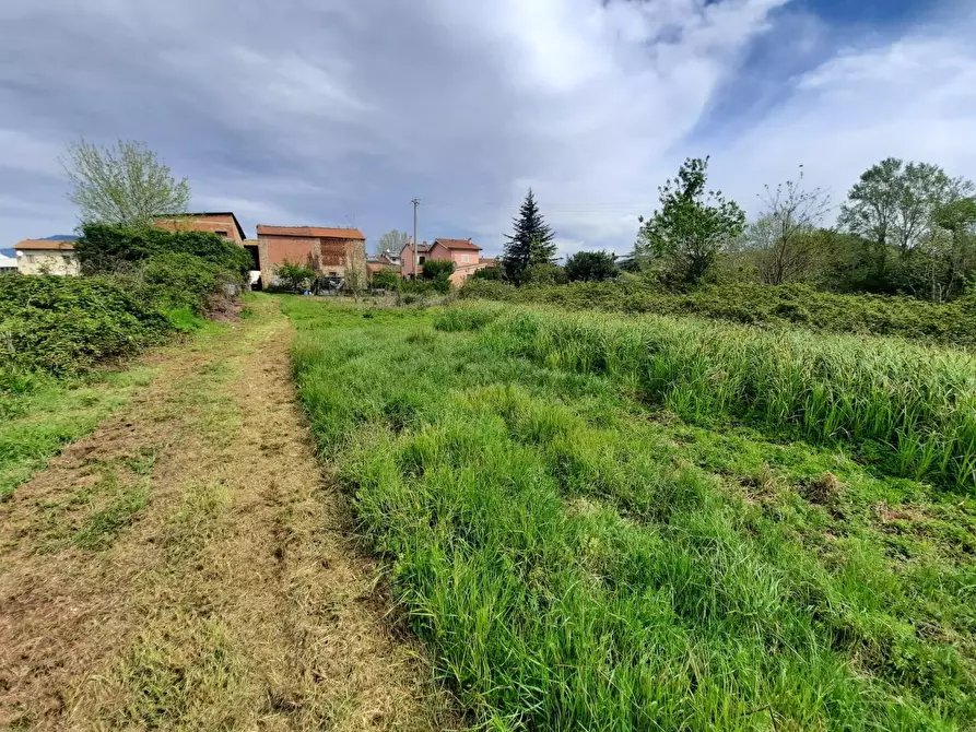 Immagine 1 di Terratetto in vendita  a Porcari