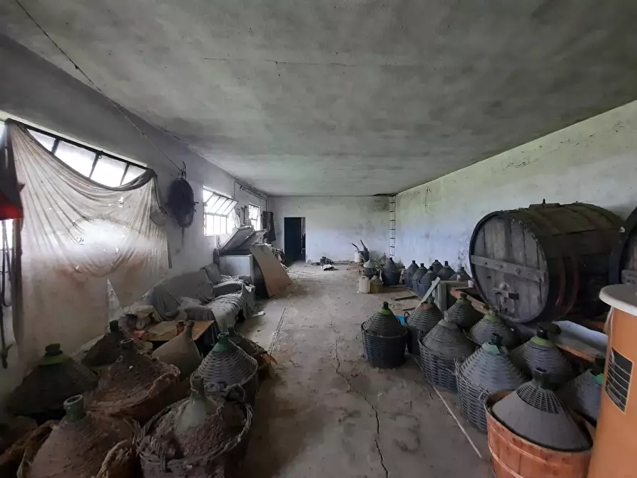 Immagine 7 di Terratetto in vendita  a Porcari