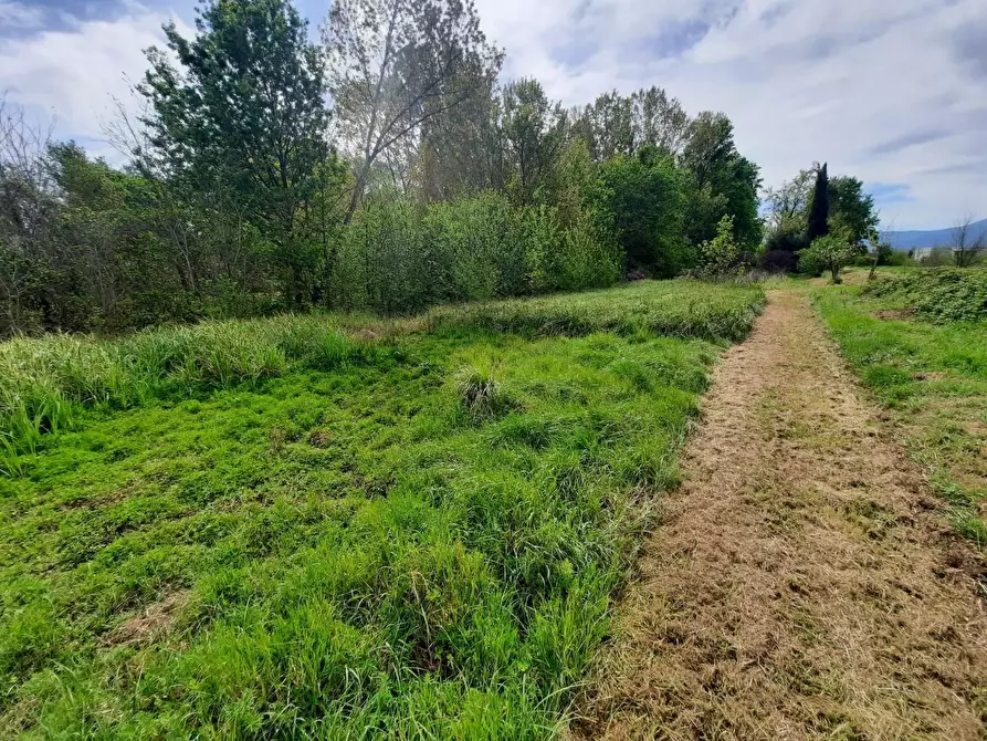 Immagine 17 di Terratetto in vendita  a Porcari