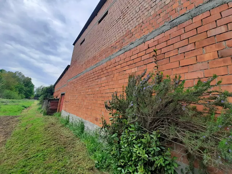 Immagine 16 di Terratetto in vendita  a Porcari