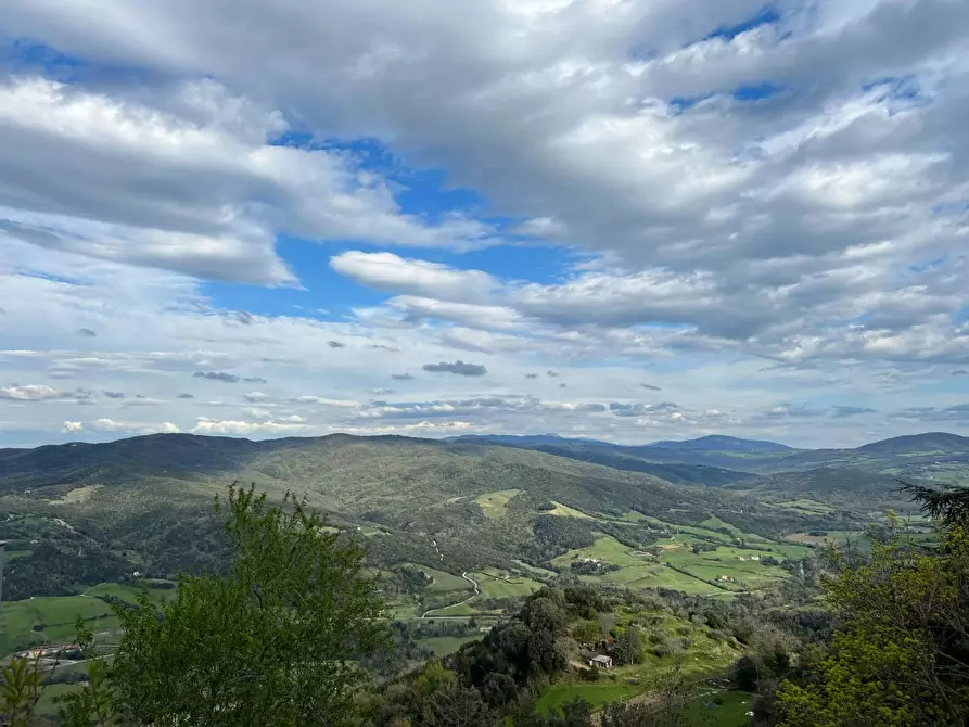 Immagine 23 di Appartamento in vendita  a Montecatini Val Di Cecina