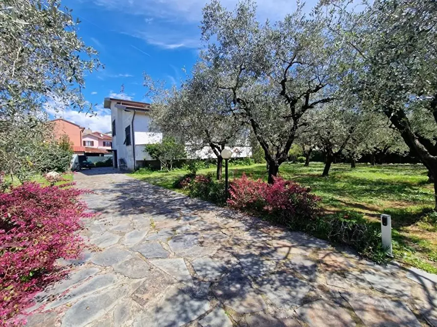 Immagine 9 di Casa indipendente in vendita  a Sarzana