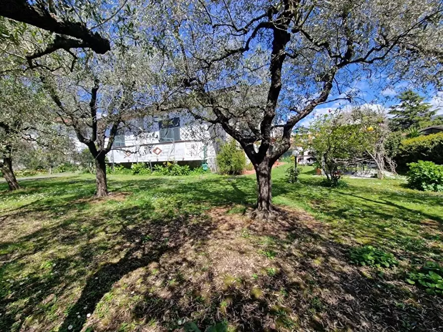 Immagine 10 di Casa indipendente in vendita  a Sarzana