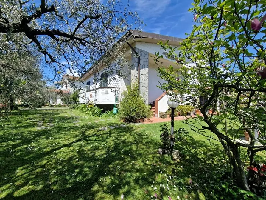 Immagine 5 di Casa indipendente in vendita  a Sarzana