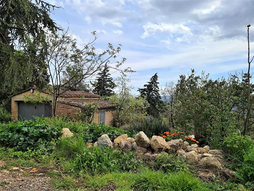 Immagine 9 di Porzione di casa in vendita  a Murlo