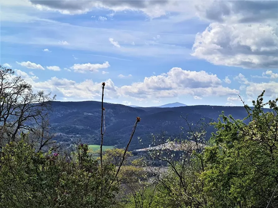 Immagine 10 di Porzione di casa in vendita  a Murlo