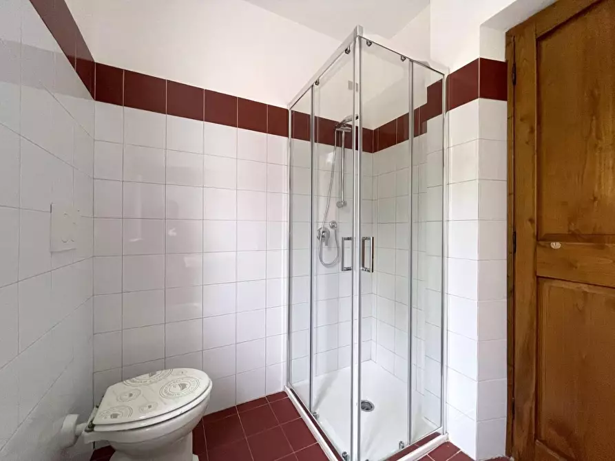 Immagine 29 di Villa in vendita  a Camaiore