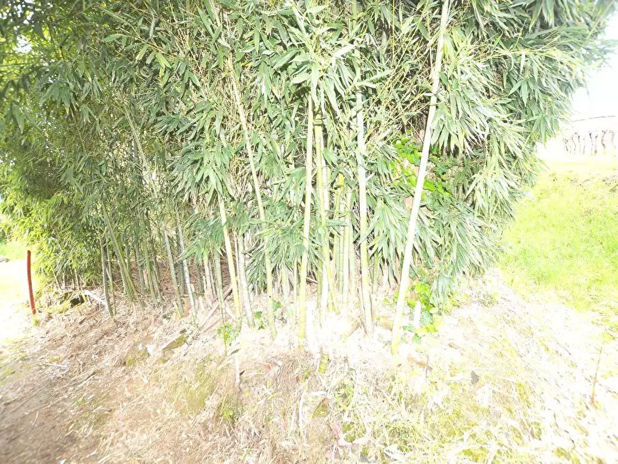 Immagine 11 di Deposito in vendita  a Capannori