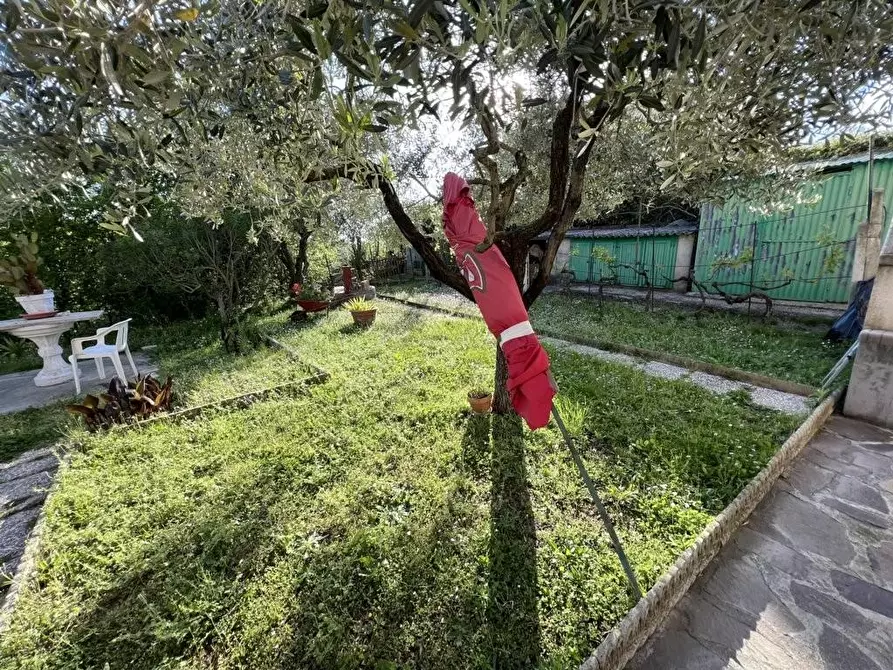 Immagine 32 di Casa indipendente in vendita  a Guardistallo
