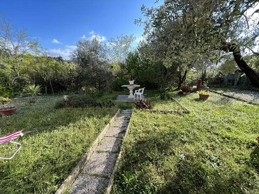 Immagine 30 di Casa indipendente in vendita  a Guardistallo