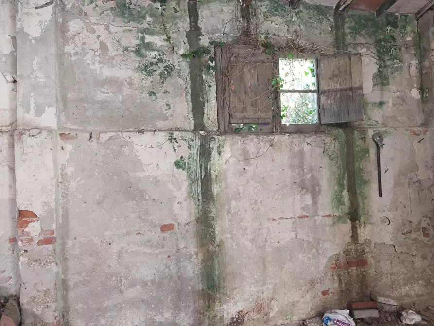 Immagine 6 di Attività artigianale in vendita  a Carrara