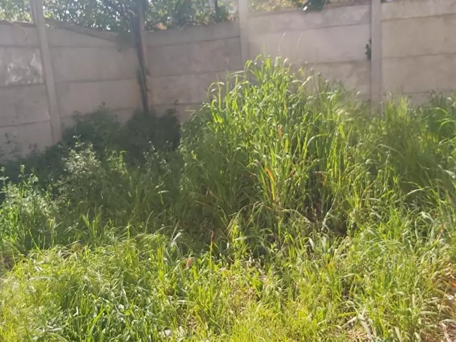 Immagine 3 di Attività artigianale in vendita  a Carrara