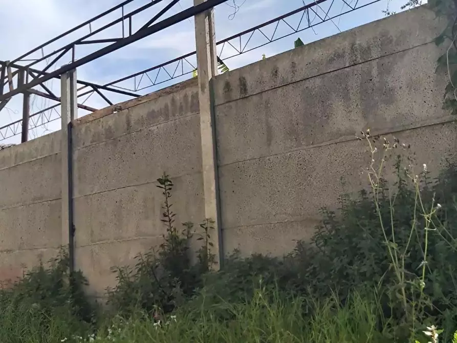 Immagine 2 di Attività artigianale in vendita  a Carrara