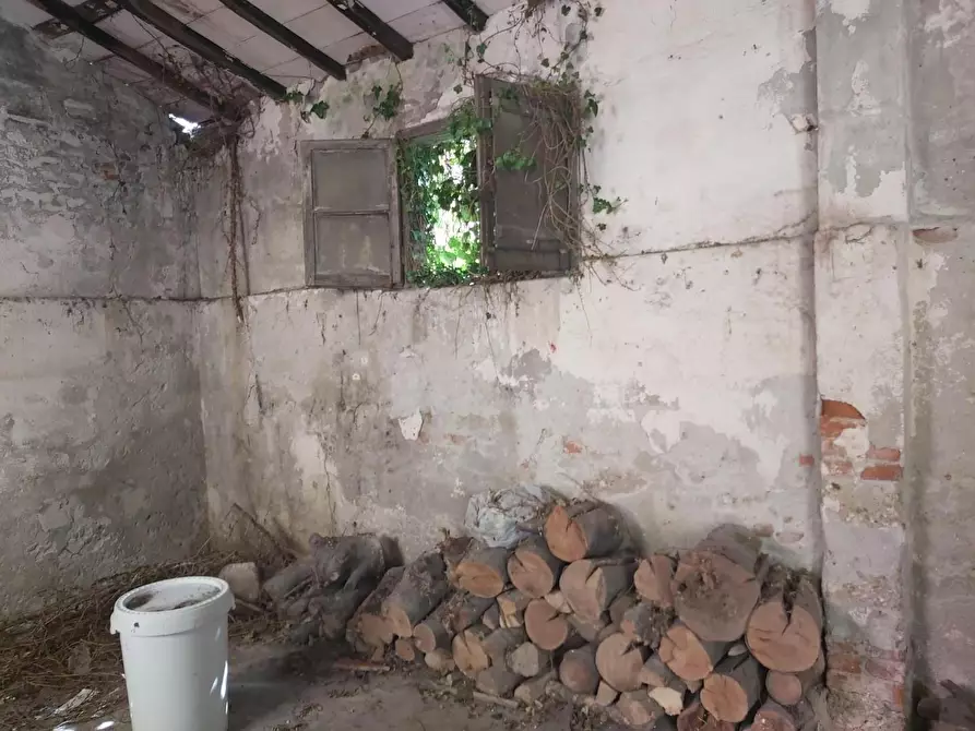 Immagine 5 di Attività artigianale in vendita  a Carrara