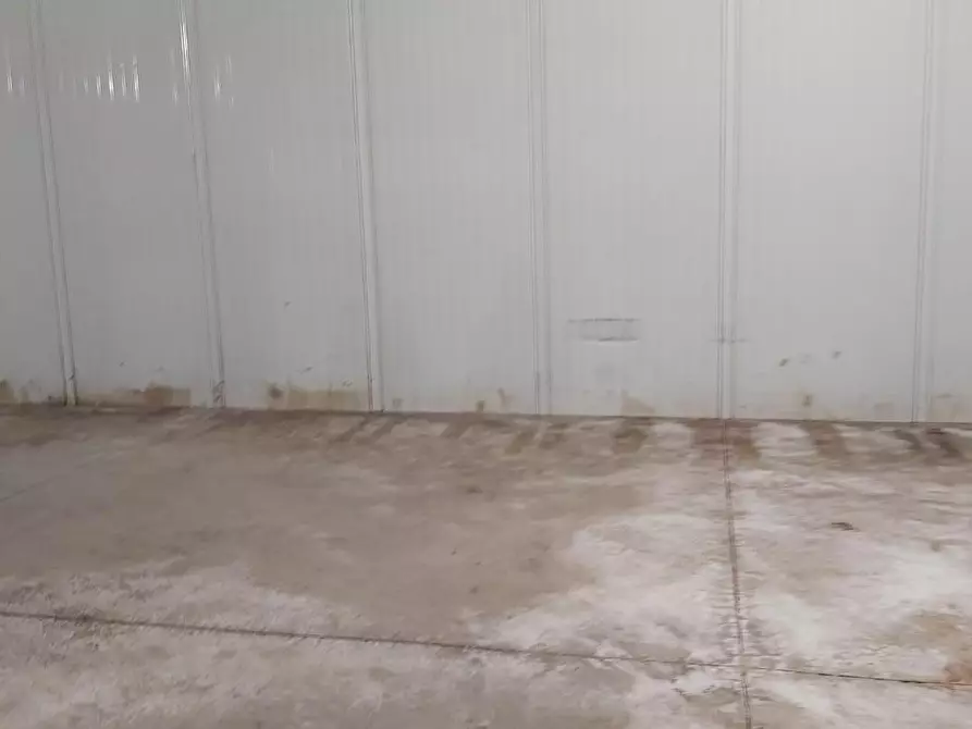 Immagine 6 di Magazzino in affitto  a Massa
