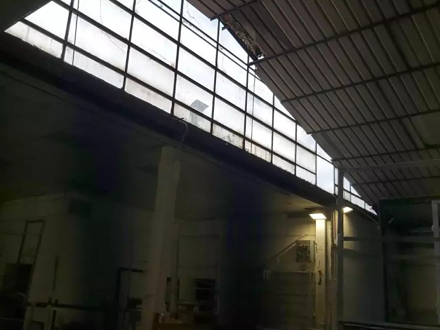 Immagine 2 di Magazzino in affitto  a Massa